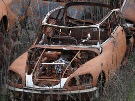 junkyard old rusted car field photo