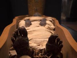 Egyptian mummy close up detail photo