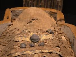 Egyptian mummy close up detail photo