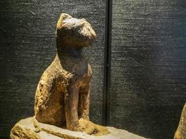 Cat egyptian statue isolated on black photo