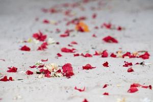 frangipani flowers for Wedding on tropical sand beach photo