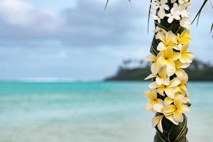 flores frangipani para boda en playa de arena tropical foto