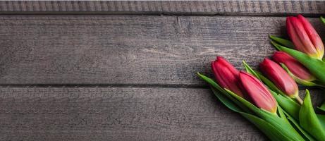 Spring tulips flowers on a old wooden background. Top view, copy space, place for text photo