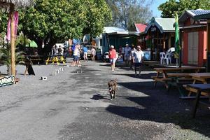 RAROTONGA, COOK ISLANDS - AUGUST 19 2017 - Tourist and locals at popular Saturday Market photo