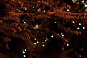 detalle de ramas de arbol de navidad con luces foto