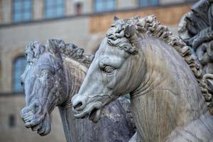 florencia piazza della signoria estatua foto