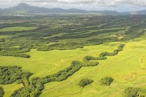 hawaii kauai fields aerial view photo