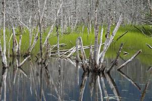 Glacier lake in Alaska photo