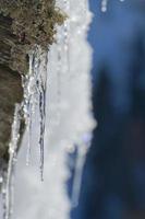 Ice crystals on wood roof photo