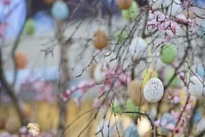 árbol de huevos de pascua foto