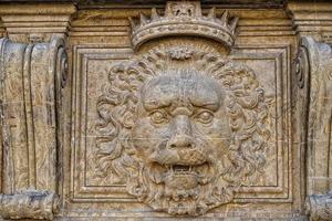 palazzo pitti lion photo