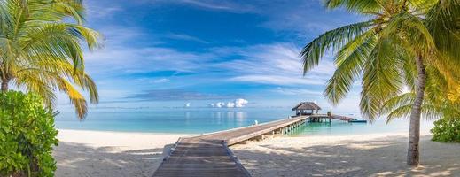 Tropical beach, Maldives. Bridge pathway into tranquil paradise island. Palm trees, white sand and blue sea, perfect summer vacation landscape or holiday banner. Beautiful tourism destination panorama photo
