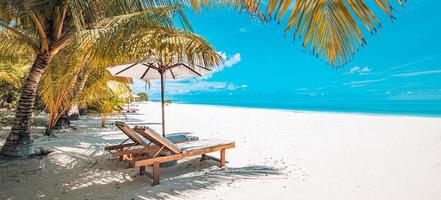 Vintage tranquil beach lounge chairs and umbrella. Summer holiday and vacation concept background. Inspirational tropical landscape design. Tourism and travel design, resort filter resort beach photo