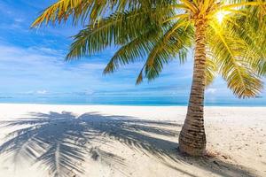 Beautiful beach on a tropical island. Luxury summer travel and vacation concept banner. Idyllic landscape of calm beach, sun rays, white sand with blue sky. Beautiful vacation background photo