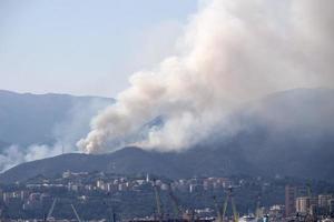 July 2022 big fire on Genoa hills, Italy photo