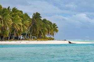 coconut tree on Polynesia beach Wonderful lagoon photo