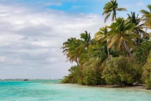 árbol de coco en la laguna maravillosa de la playa de polinesia foto