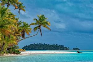coconut tree on Polynesia beach Wonderful lagoon photo