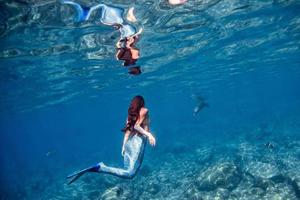 Mermaid swimming underwater in the deep blue sea with a seal photo