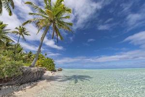 árbol de coco en la laguna maravillosa de la playa de polinesia foto