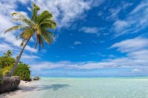 coconut tree on Polynesia beach Wonderful lagoon photo