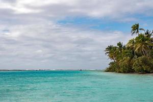 Coconut tree on polynesian tropical paradise beach photo