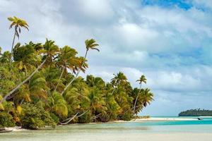 coconut tree on Polynesia beach Wonderful lagoon photo