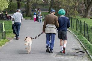 nueva york - estados unidos - 20 de abril de 2017 personas en central park en un día soleado foto