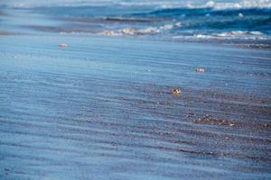 cangrejo naranja en la playa de arena del océano pacífico foto