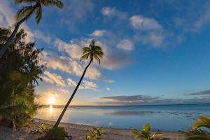 playa polinesia maravillosa puesta de sol roja en cocotero foto
