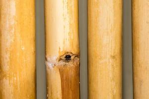 bamboo roof detail close up in indonesia photo