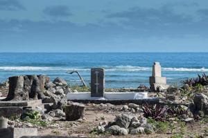 Great war veteran grave tropical coconut pacific ocean beach photo