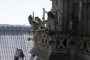 notre dame paris catedral estatua escultura y techo antes del fuego foto