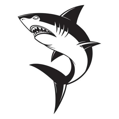 Shark Black And White Vector Art, Icons, and Graphics for Free Download