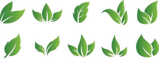 Set of abstract isolated green leaves icons on white background vector