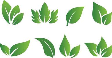 Set of abstract isolated green leaves icons on white background vector