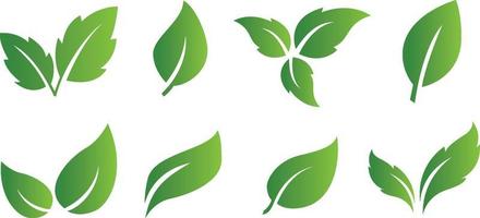 Set of abstract isolated green leaves icons on white background vector