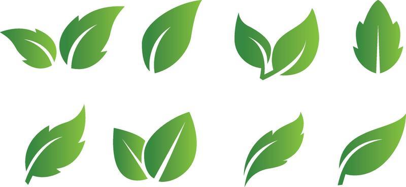 Set of abstract isolated green leaves icons on white background