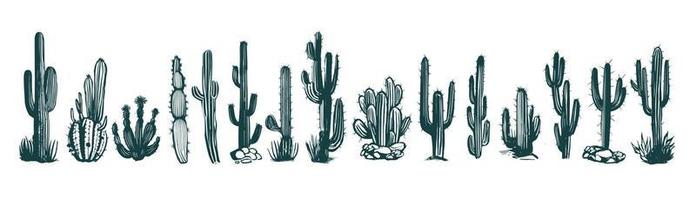 conjunto de cactus ilustraciones dibujadas a mano, vector