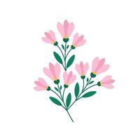 ramita con flor de magnolia sobre fondo blanco, ilustración vectorial de flores de primavera aislar vector