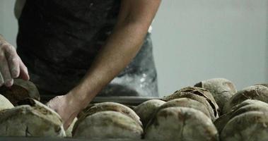 panadero organizando los panes de masa fermentada en una rejilla para hornear en una panadería. - tiro medio video