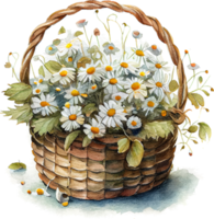 süßer aquarellkorb mit frühlingsblumen png