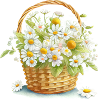 Cute watercolor basket with spring flowers png
