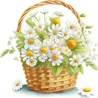 süßer aquarellkorb mit frühlingsblumen png