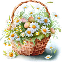 joli panier aquarelle avec des fleurs printanières png