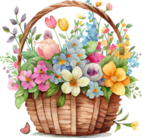 Cute watercolor basket with spring flowers png