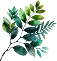 Green Watercolor Painting Natural Leaves Branch png