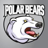 logotipo de la mascota del oso polar vector