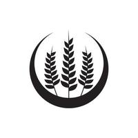 agricultura trigo logo plantilla vector icono diseño