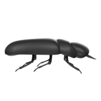 beetle bug isolated on background png